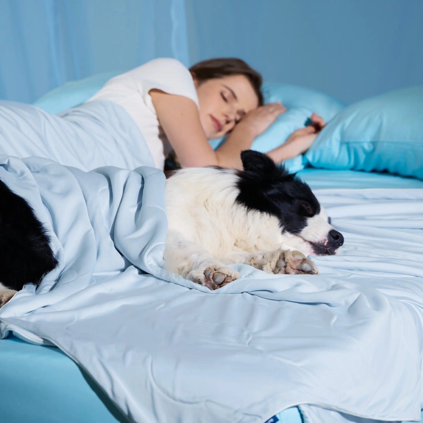 Bedsure Pet Cooling Blanket for Dogs & Cats - Machinewash Easy, Heat Dissipation, Multi-Sizes, Skin-Friendly, Washable Breathable Throw for Couch & Bed