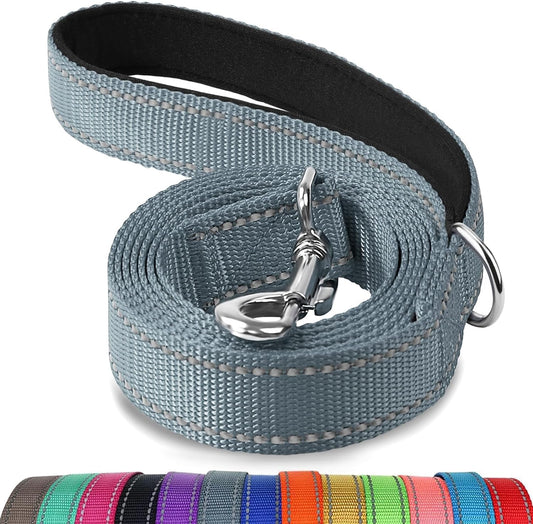 Dog Leash, 5 FT Double-Sided Reflective, Padded Handle Nylon Heavy Duty Leashes for Small Dogs Walking, Grey
