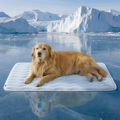 Bedsure Pet Cooling Blanket for Dogs & Cats - Machinewash Easy, Heat Dissipation, Multi-Sizes, Skin-Friendly, Washable Breathable Throw for Couch & Bed